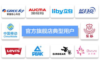 臺州飛速網(wǎng)絡(luò) 一站式網(wǎng)站建設(shè)、淘寶代運(yùn)營與優(yōu)化服務(wù)專家